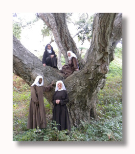 Oak-Tree-Four-Sisters-2-Resized-PS