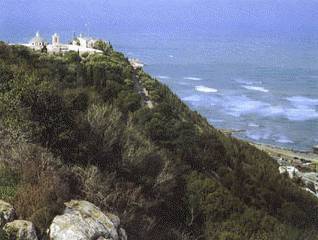 Carmelite Monastery of Our Lady and St. Thérèse