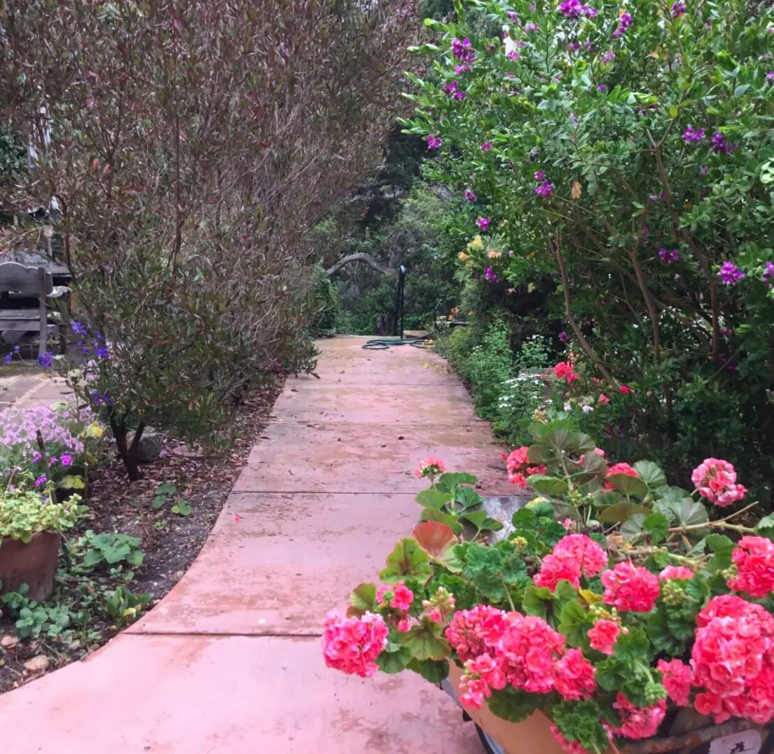 A path with flowers and bushes in the background.